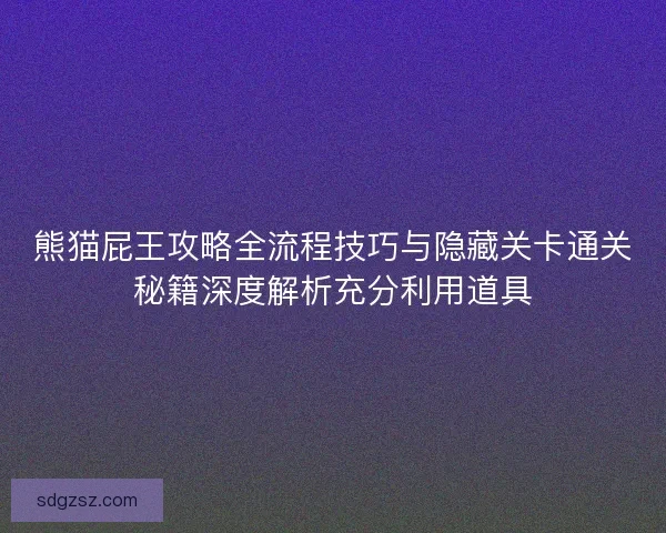 熊猫屁王攻略全流程技巧与隐藏关卡通关秘籍深度解析充分利用道具